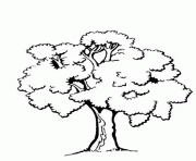 beauty tree clipart black and white