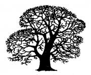 english oak tree clipart black and white