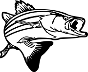 jumping bass fish black and white clipart
