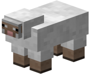 Minecraft Png Owca