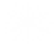 white snowflake png 8