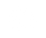 white snowflake png 38