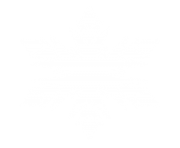 white snowflake png ice crystal 12