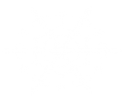 white snowflake png 14