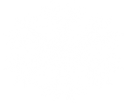 white snowflake png 16