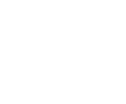 white snowflake png 9