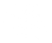 white snowflake png 17