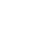 white snowflake png 13
