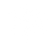 white snowflake png 10