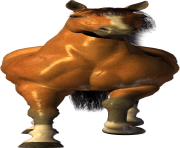 horse PNG293