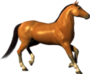 horse png Eohippus 10