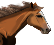 horse PNG298