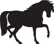 black horse png animal 2