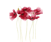 Watercolor painting Flower Drawing Art Watercolor flowers pink petaled flower transparent background PNG