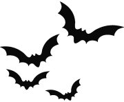 black bat png image 1